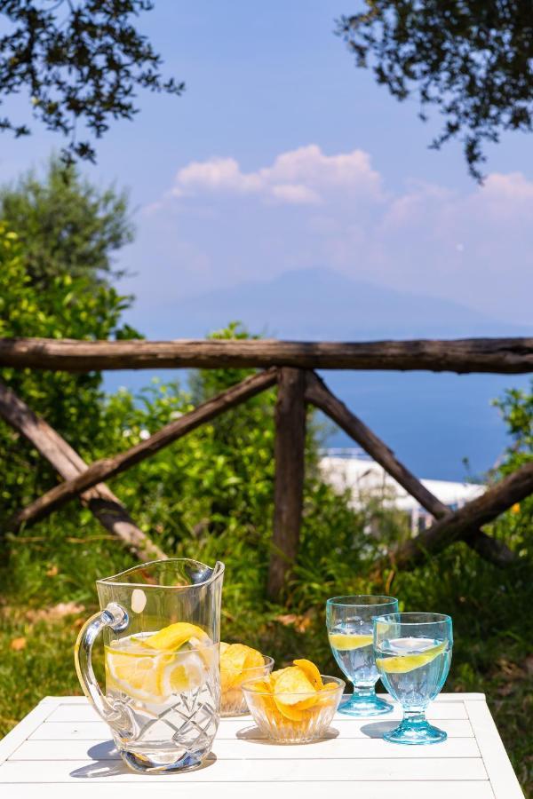 Villa Ada Sorrento Ngoại thất bức ảnh