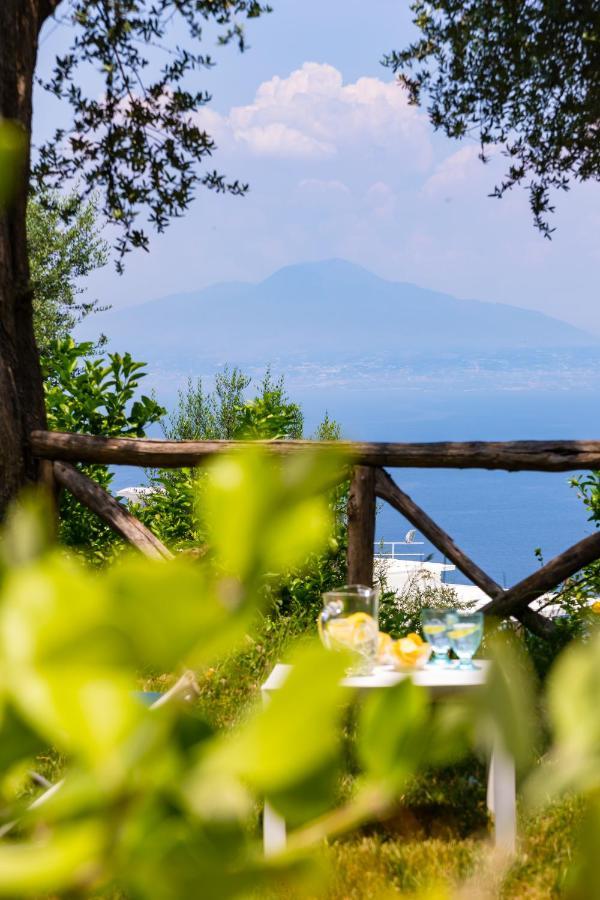 Villa Ada Sorrento Ngoại thất bức ảnh
